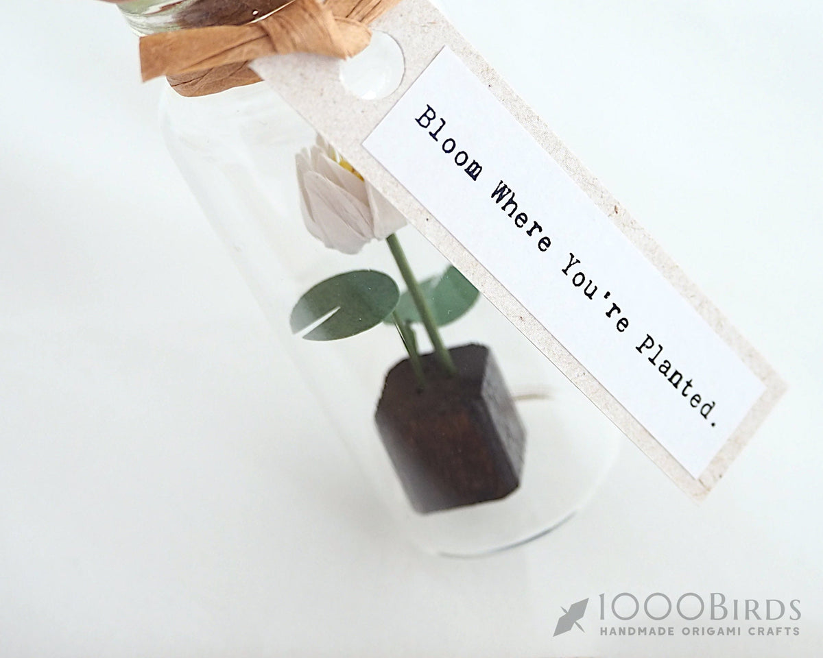 Origami Lotus Flower in Bottle: Personalized Paper Lotus Gift