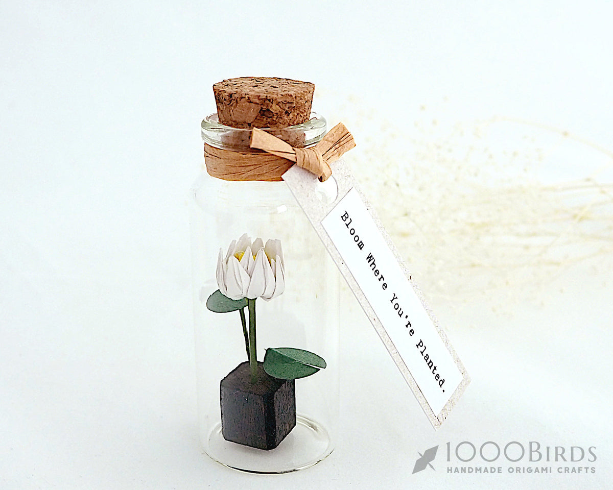 Origami Lotus Flower in Bottle: Personalized Paper Lotus Gift