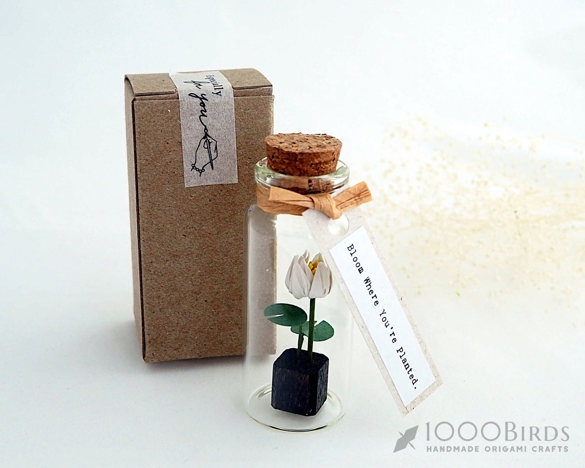 Origami Lotus Flower in Bottle: Personalized Paper Lotus Gift