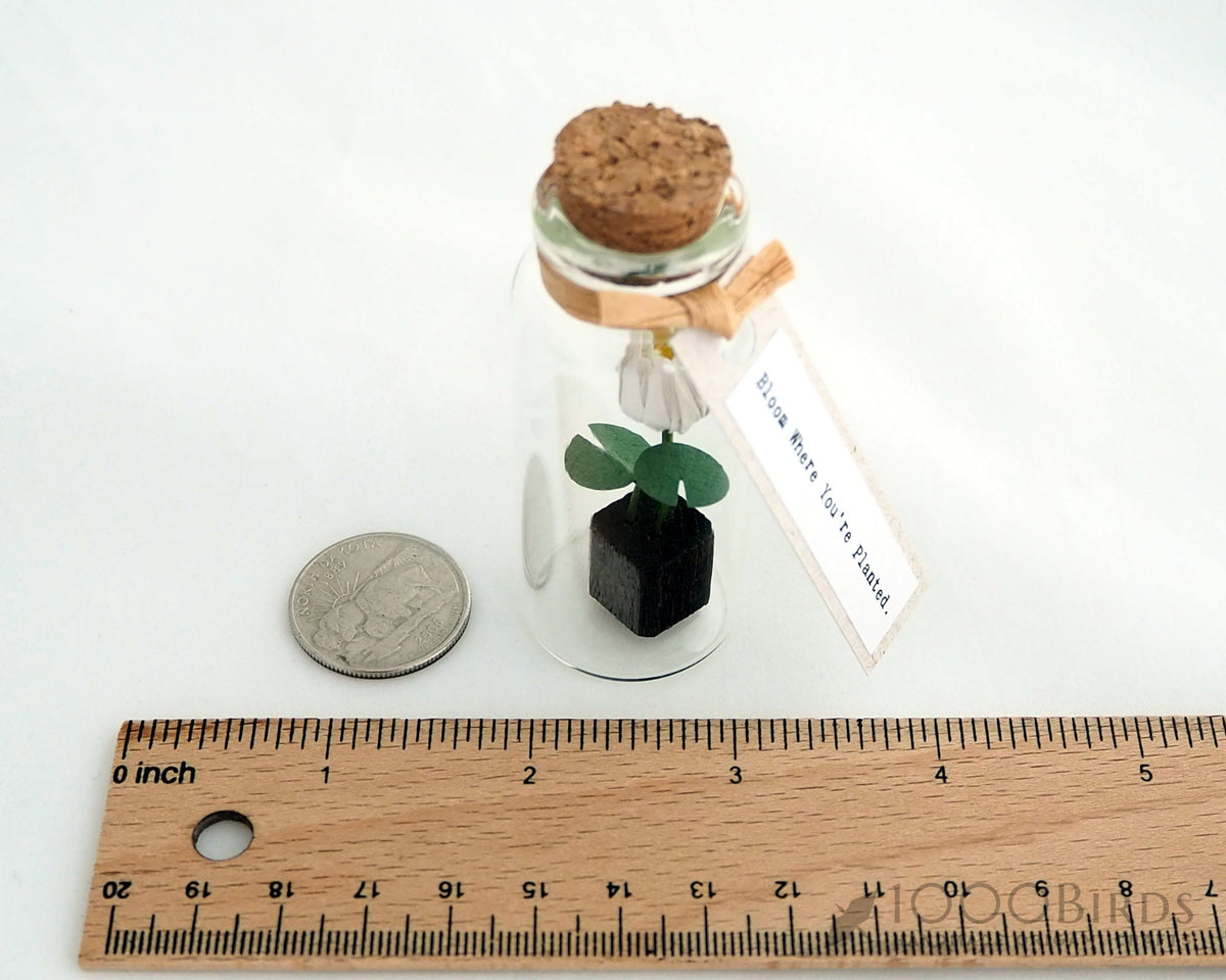Origami Lotus Flower in Bottle: Personalized Paper Lotus Gift