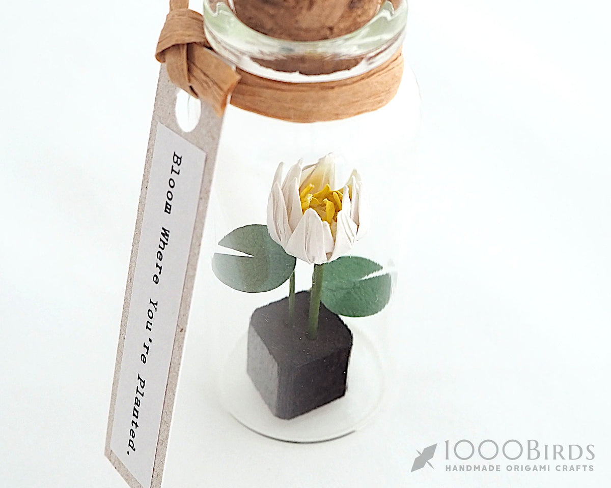 Origami Lotus Flower in Bottle: Personalized Paper Lotus Gift