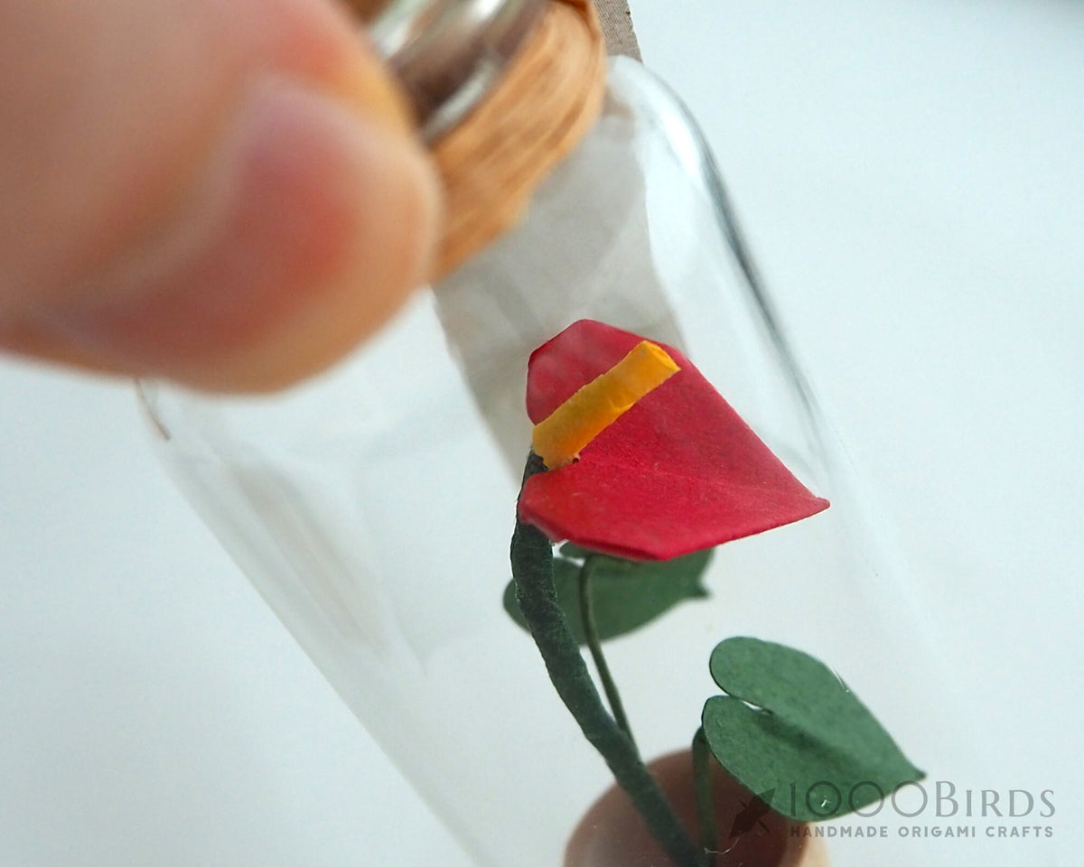 Origami Anthurium Flower: Flamingo Lily in Mini Bottle Gift