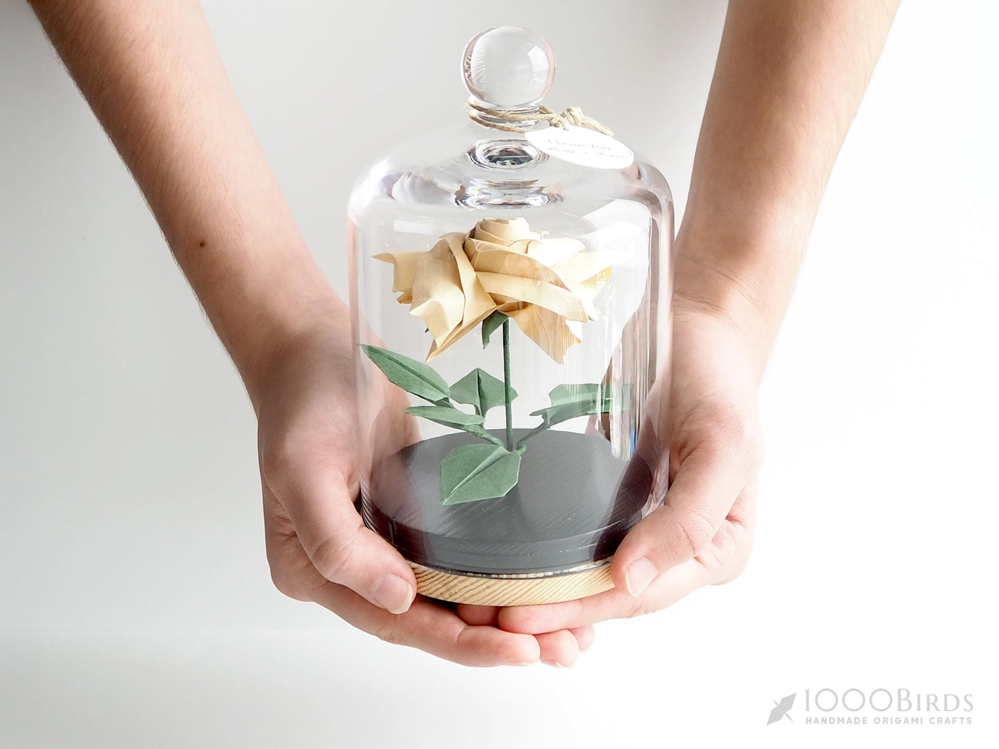 Solid-Colored Origami Rose in Glass Dome – Personalized Anniversary & Valentine’s Keepsake Gift