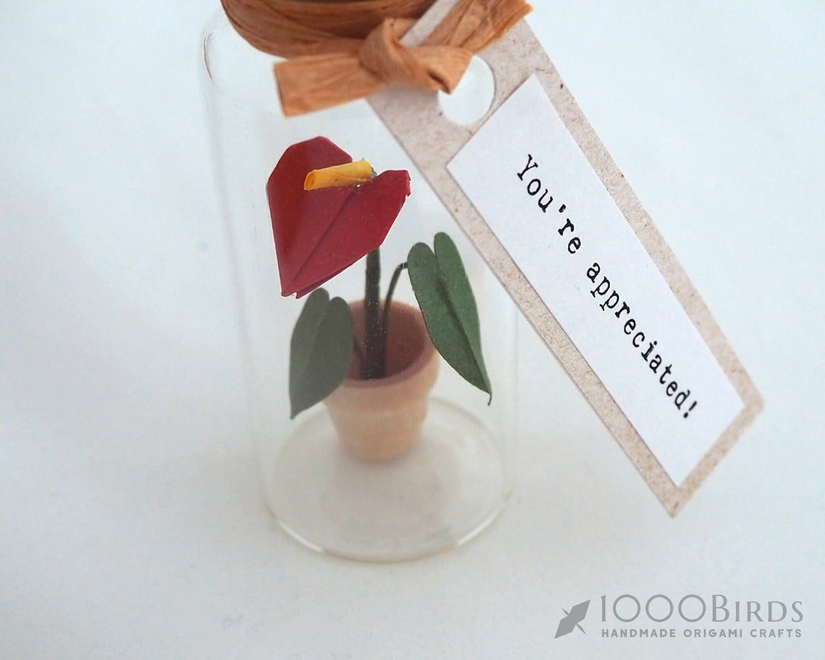 Origami Anthurium Flower: Flamingo Lily in Mini Bottle Gift