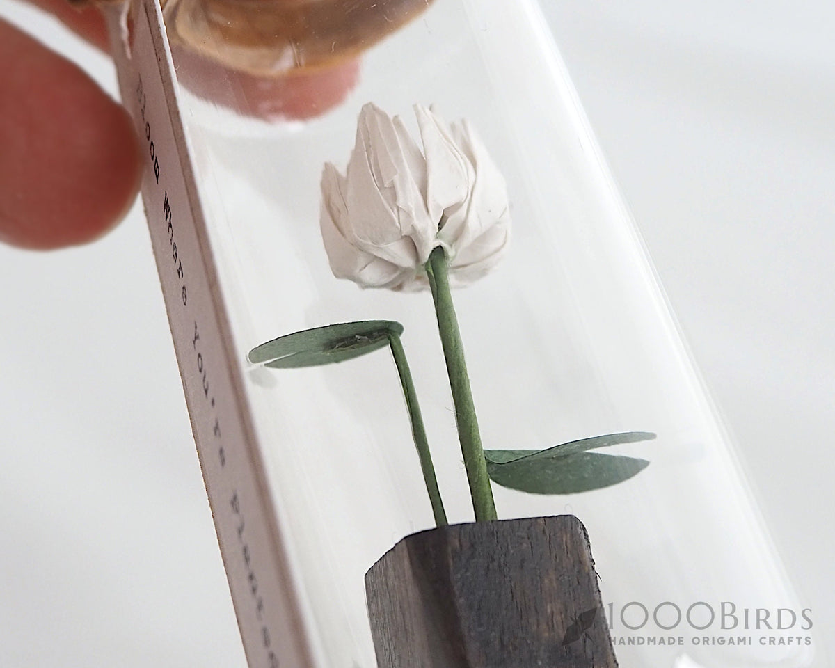 Origami Lotus Flower in Bottle: Personalized Paper Lotus Gift