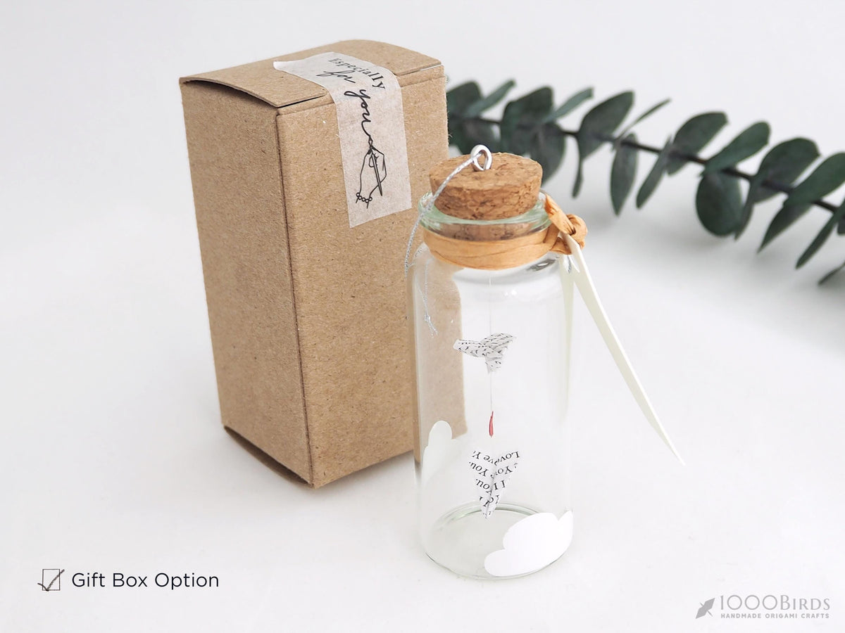 Origami Airplane Bottle: 'I Love You' Keepsake Gift